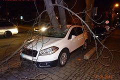 Česko zasáhne silný vítr. Hrozí pády stromů a elektrického vedení