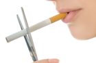 Němečkův protikuřácký zákon jde do vlády, očekává schválení