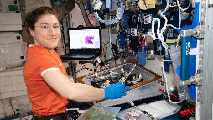 Astronautka Christina Kochová během vědecké práce na ISS.