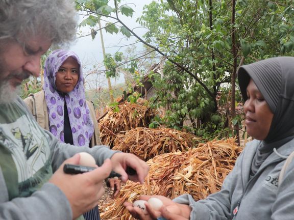Vedoucí studie Jindřich Petrlík odebírá vzorky vajec v Indonésii.