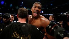 Vladimir Kličko vs. Anthony Joshua: Anthony Joshua na zemi