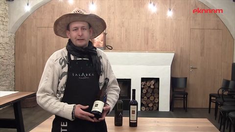 David Chocholatý z Vinařství Salabka doporučuje vína k jídlu
