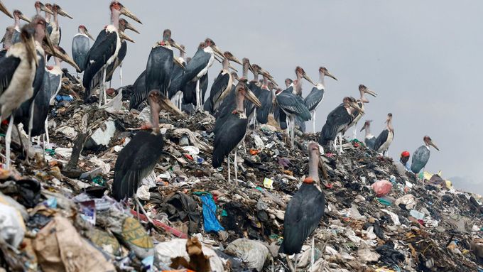 Pohledem fotografů: takto vypadá problém s plastovým odpadem v africkém státě Keňa.