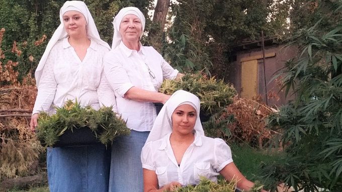 Řádové sestry pěstují marihuanu a žijí podle vlastních pravidel.