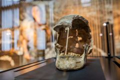 Národní muzeum vystavuje unikátní lebku ženy, která žila před 45 000 lety