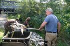 Pokus se solankou nemohl řeku Bečvu ohrozit, vypověděli rybáři s odkazem na studie