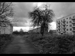 Klomino - the ghost city. At first sight it appears to be a common panel house neighborhood. But this place lost its inhabitants 20 years ago