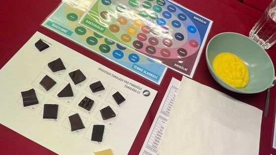 ochutnávka čokolády s profesionální degustátorkou Šárka Robinson Pomahačová