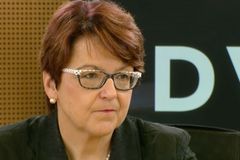 Babišův střet zájmů škodí Česku i celé EU, řekla o kauze vlivná europoslankyně