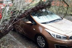 Přes Česko se o víkendu přežene silný vítr, mohou padat stromy, varují meteorologové