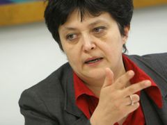Zelená ministryně Džamila Stehlíková končí.