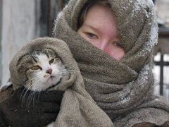 MOSPIN (Ukrajina) - Ukrajinská dívka zahřívá svou kočku v Mospinu, vesnici na východě doněcké oblasti. Teplota zde klesla až na -24 stupňů celsia