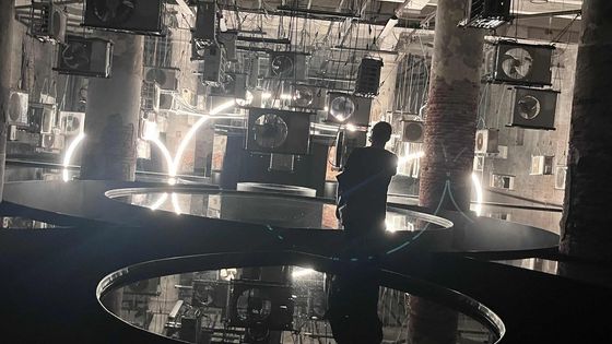 Jako Alenka v říši divů. Skočte si na poslední chvíli na benátské bienále