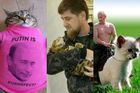 Čečenský prezident baví internet hledáním ztracené kočky. Putin je náš vůdce, vzkazuje kritikům