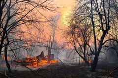 Kyjev zahalil dým z požárů u Černobylu. Lidé nemají chodit ven, radioaktivní prý není