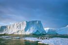 Varovné svědectví z fosilií: Na Antarktidě rostly stromy, emisí bylo stejně jako dnes