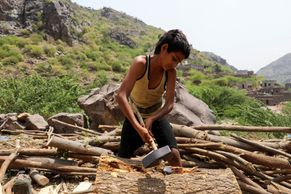 Foto: Stromy vyvracejí krumpáčem i s kořeny. Jemenu ubývá zeleň, lidé se bojí pouště