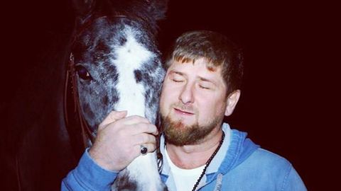 Sankce ve stáji: Západ porušil práva mých koní, říká Kadyrov
