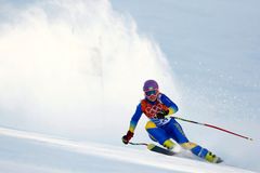 Slovinsko schválilo privatizaci známého výrobce lyží Elan