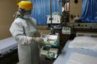 Slovensko potvrdilo první případ prasečí chřipky