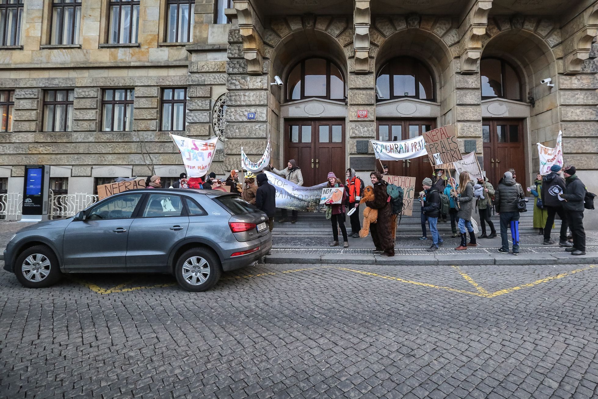 Demonstrace proti využívání palmového oleje do biopaliv
