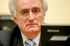 Radovan Karadžić požádal o revizi rozsudku, který mu uložil doživotí