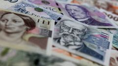 Euro bude za 26 korun. Hodnotit intervence ale zatím nemůžeme, říká Radomír Jáč