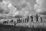 Kevin Frayer (Getty Images): Rohingové prchají před etnickými čistkami v Bangladéši. Série nominovaná na World Press Photo v kategorii Obecné zpravodajství.