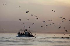 Greenpeace obviňuje Čínu z nelegálního rybolovu v Africe