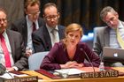 USA, Británie a Francie odmítly ruský návrh nové rezoluce o Sýrii