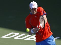 Andy Murray postoupil v Dubaji do čtvrtfinále. 