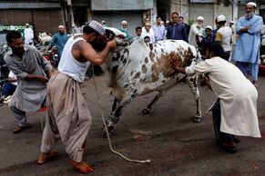 Obrazem: Muslimové si obětováním zvířat a modlitbami připomínají proroka. Slaví "svátek oběti"
