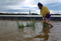 Vedení KLDR potrestalo místní představitele kvůli ničivým dopadům tajfunu Maysak