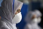 Prasečí chřipka jde ve stopách starších virů-zabijáků