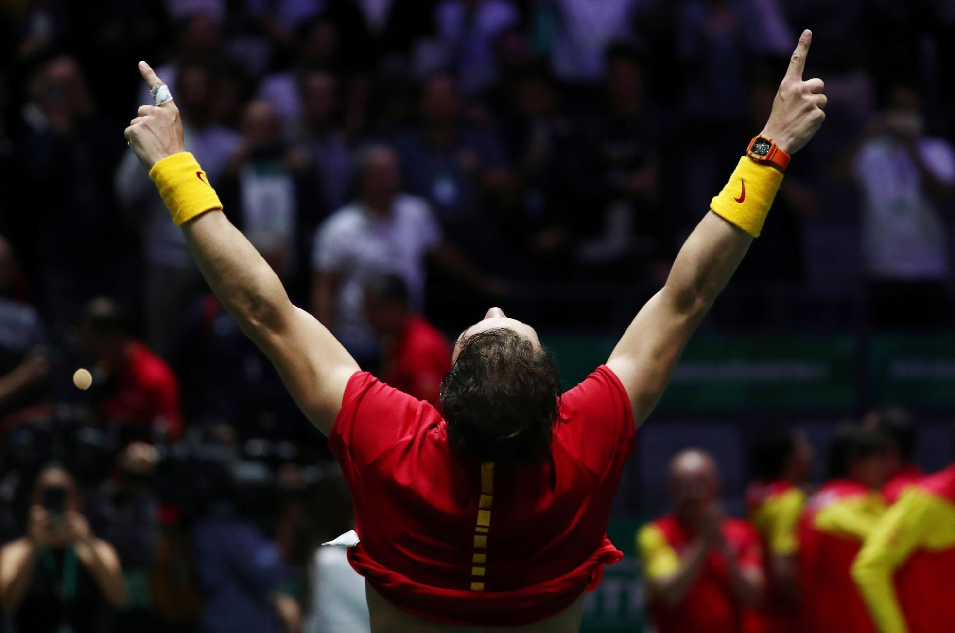 Davis Cup Finals - Final