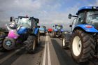 Česko zalije mléko.Farmáři vylijí na protest hektolitry