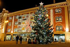 Češi mají nedostatek vánočních stromků
