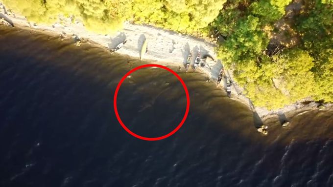 Natočil kanoista z dronu lochneskou příšeru? U břehu jezera se objevil záhadný černý útvar.