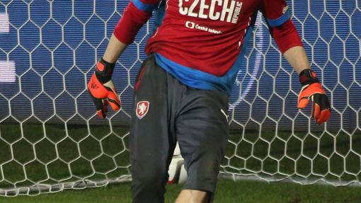 Trénink české reprezentace: Čech