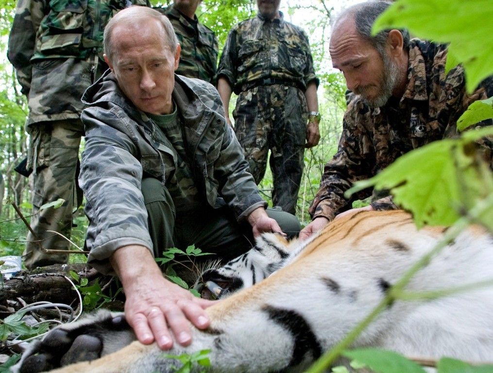 Vladimir Putin, tygr