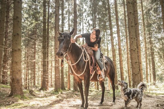 Jízda na koni lesem v Horním Rakousku