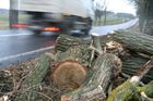 Od silnic mizí aleje, cestáři vykáceli 100 tisíc stromů