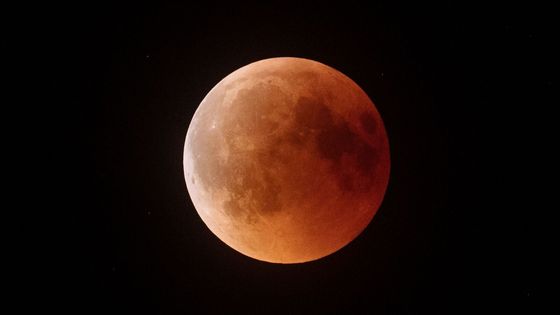 Měsíc zrudne večer. Krvavé zatmění nastane už za soumraku