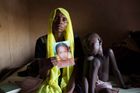Nigerijská vláda chce jednat s Boko Haram o propuštění školaček