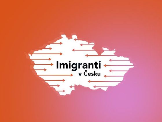 Imigranti v Česku Imigranti ikona