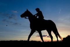 Jezdec utýral koně k smrti. Dostal rekordní dvacetiletý trest