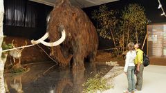 Lovci mamutů v Národním muzeu