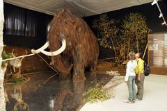 Kostra mamuta Montyho se vydražila za 189 tisíc liber