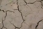 Následky sucha jsou obrovské. Zemědělcům klesnou výnosy o víc než polovinu, stát slibuje pomoc