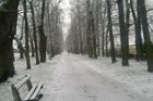 Předpověď počasí: Mrazy v Česku nevydrží, i leden bude mimořádně teplý